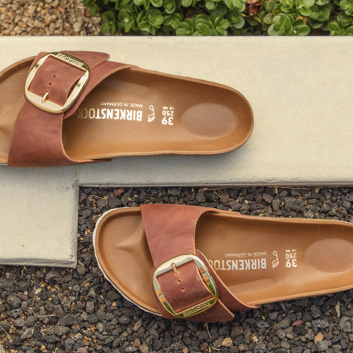 Birkenstock Madrid Big Buckle in Premium Cognac Oiled Leather