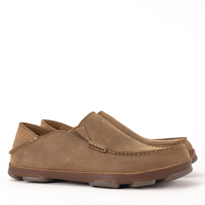 MOLOA - RAY - LEATHER