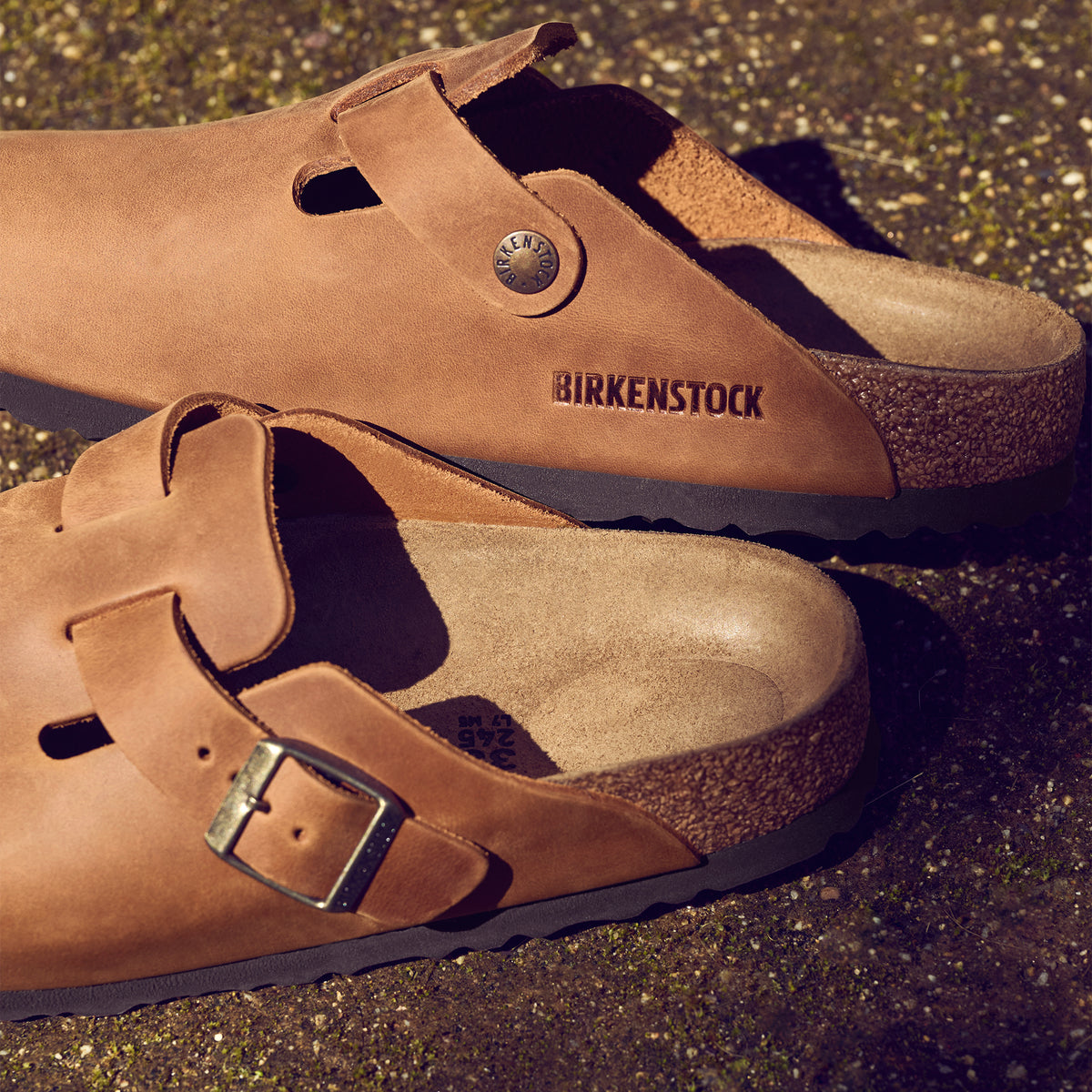 Birkenstock Boston Clog in Cognac Oiled Leather