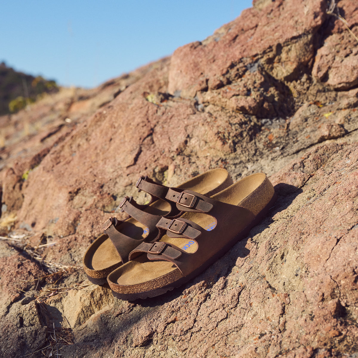Women's Birkenstock Florida Soft Sandal in Habana Oiled Leather