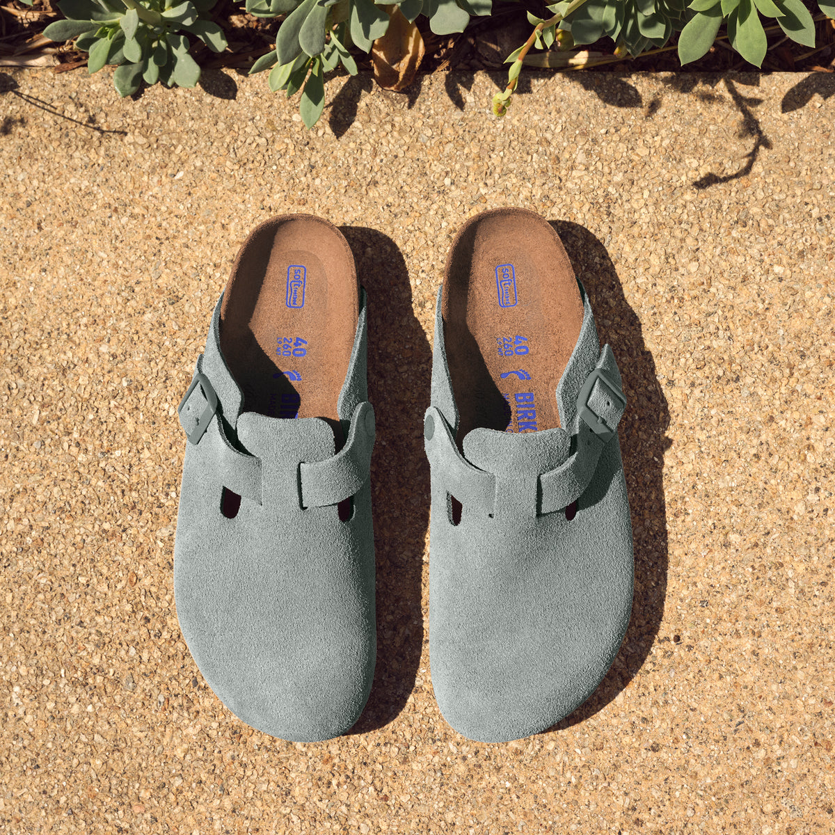 Women's Birkenstock Boston Soft Clog in Pure Sage Suede Leather
