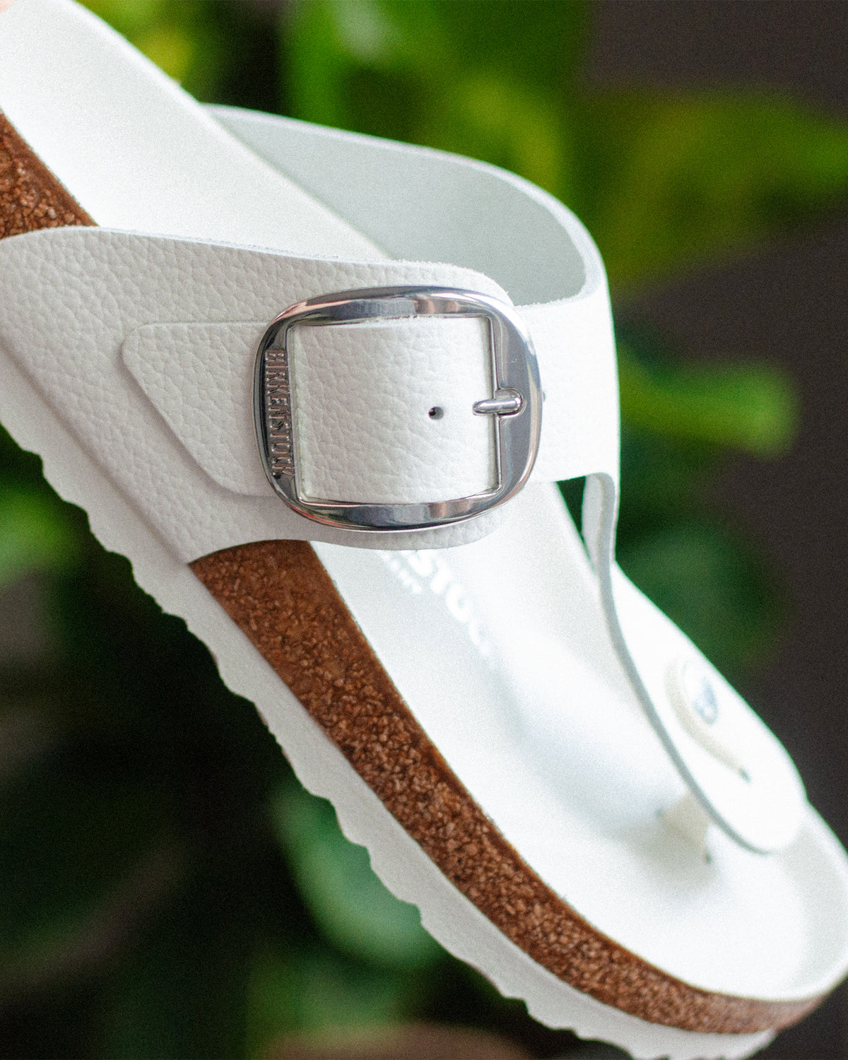 GIZEH BIG BUCKLE - WHITE - LEATHER