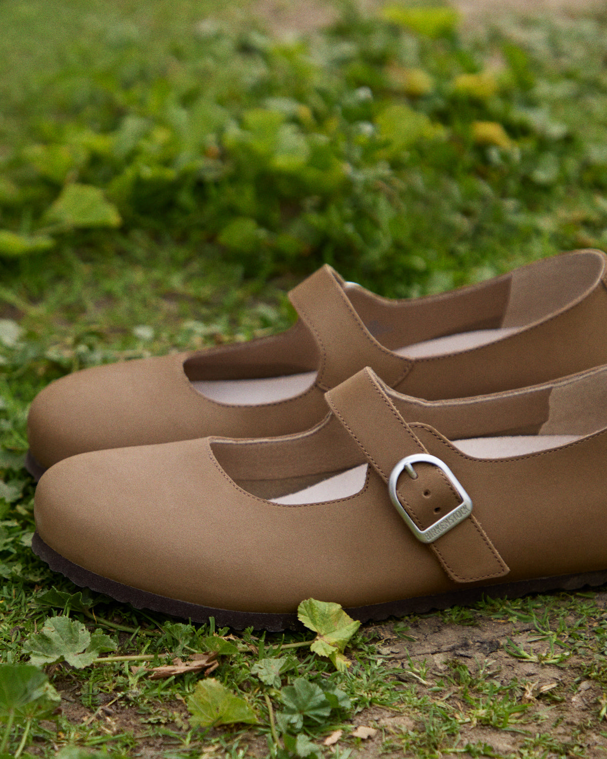 SANTA CLARITA - DARK TEA - NUBUCK