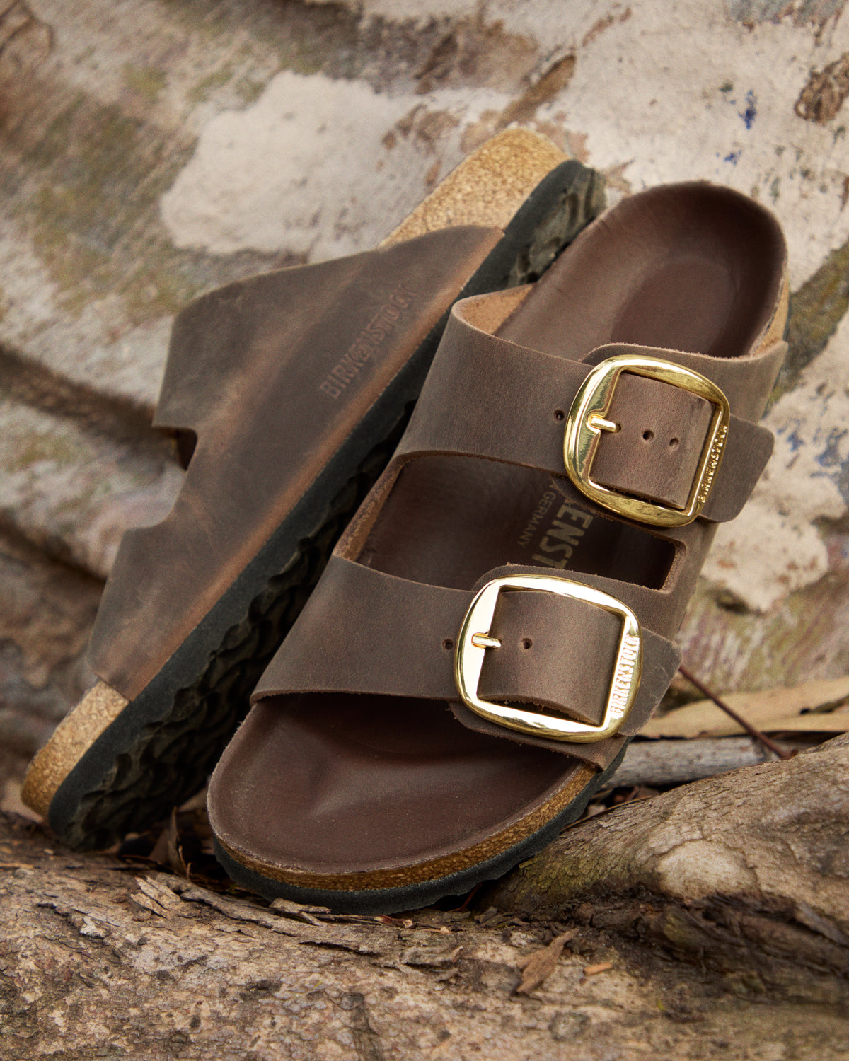 Birkenstock Arizona Big Buckle Sandal in Habana Brown Oiled Leather