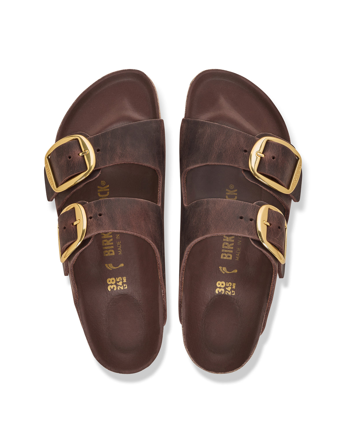 ARIZONA BIG BUCKLE - HABANA - OIL LEATHER