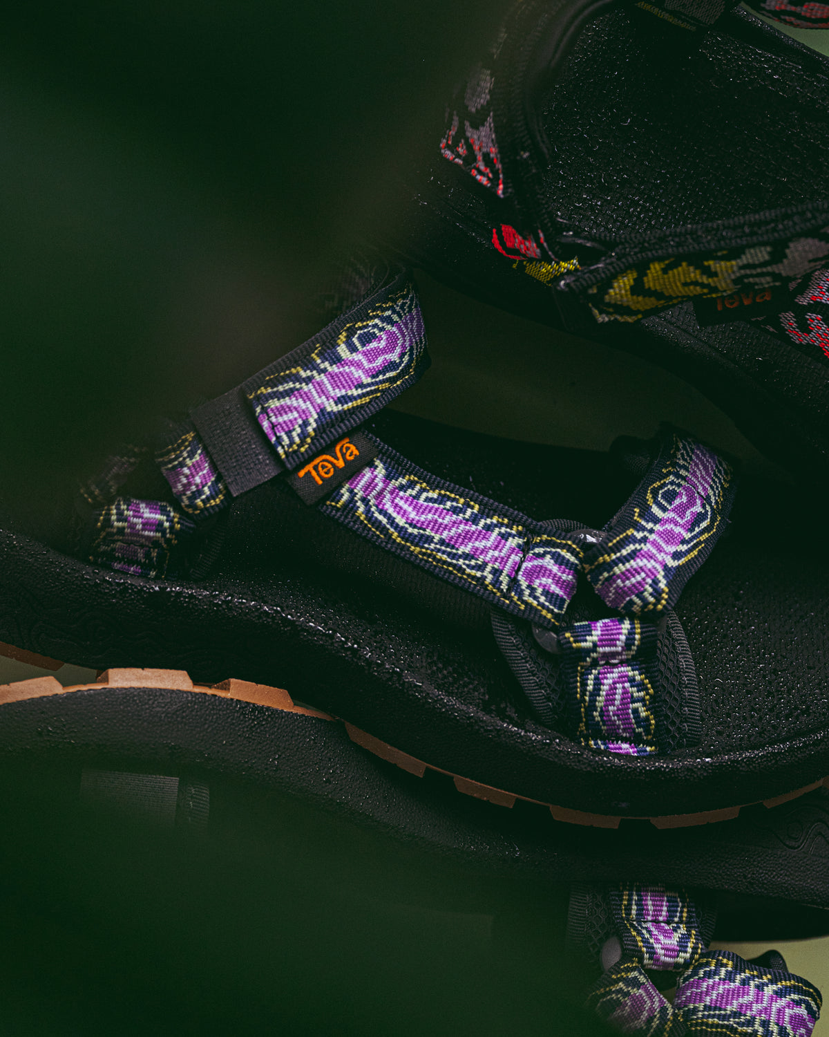 W-HYDRATREK SANDAL - STRIKING PURPLE - WEBBING