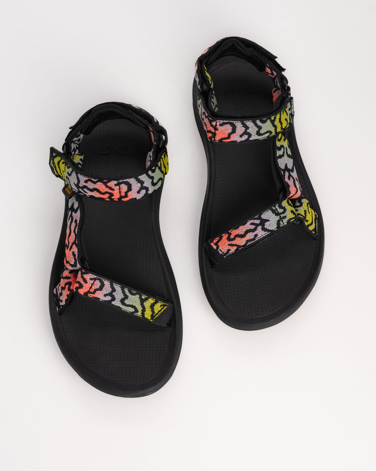 HURRICANE XLT3 - EPIC CORAL - WEBBING