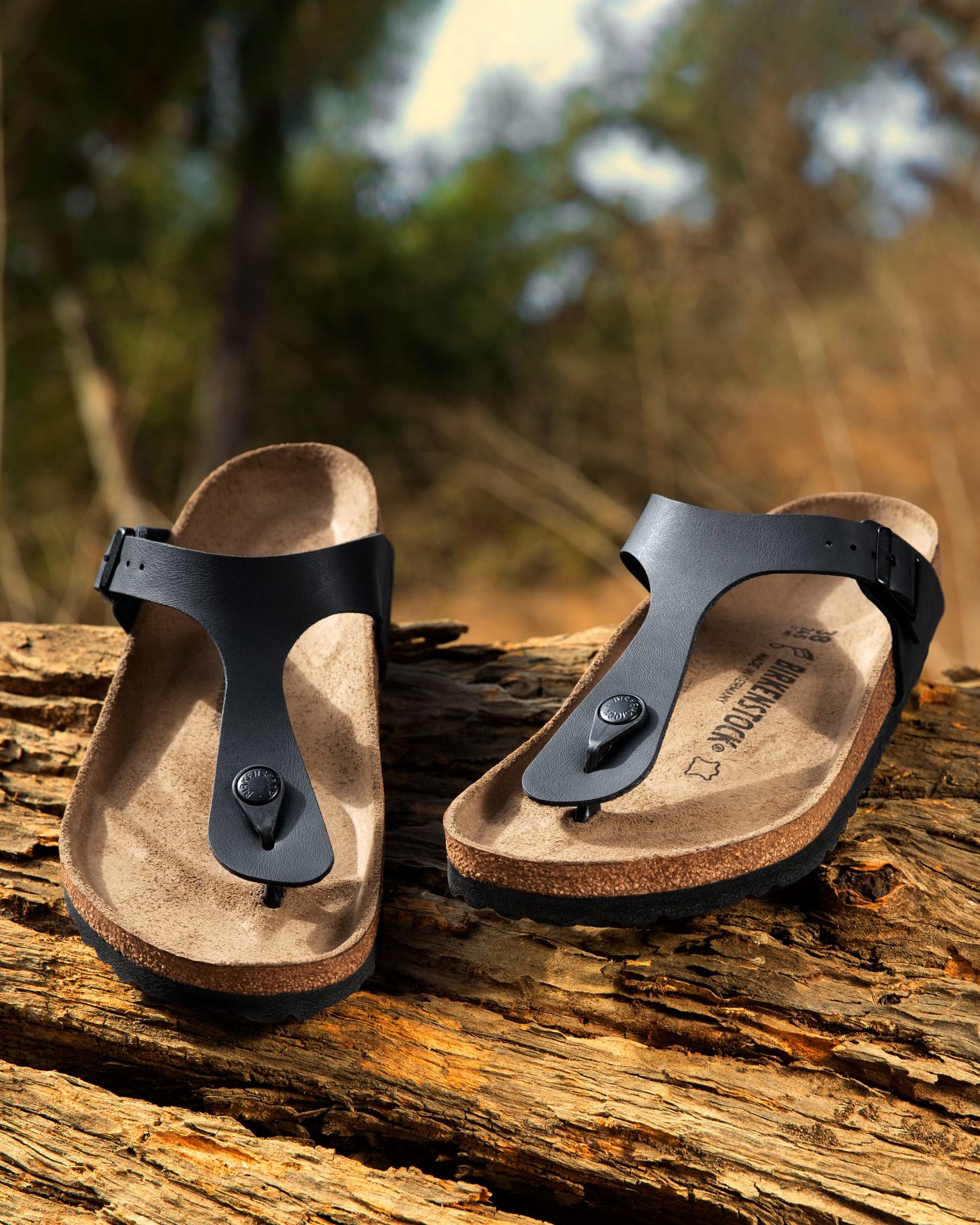 Birkenstock Gizeh T-Strap Sandal | Black Birko-Flor – Plaza Shoe Store