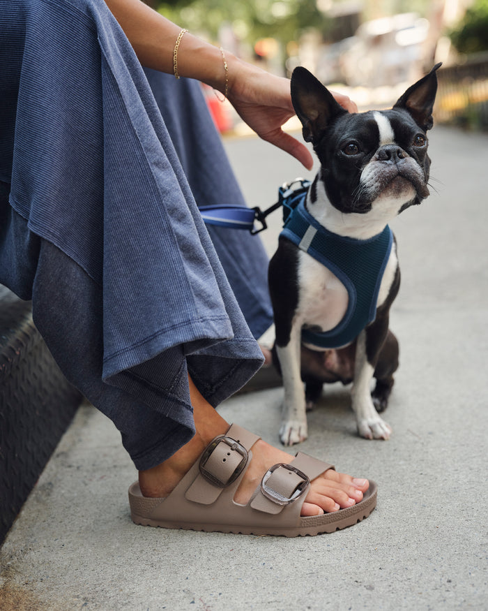 Small black and white dog on a leash next to a person wearing blue jeans and brown Birkenstock Arizona EVA Big Buckle sandals.
