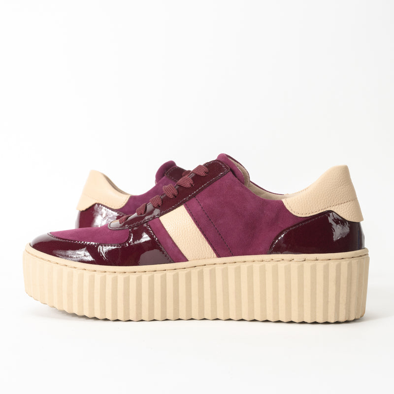 Gabor Tall Tri 53.203 women's low-top leather shoes in AUBERGINE / MAROON, featuring lace-up design, round toe, removable Ultra Flex Air insole, and 2-inch heel with TPU outsole for comfort and style. Instep view, sole and upper detail.