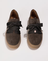 overhead view of the Gabor Big Lace Sport Sneaker 73.333.18 in Mohair Suede – Women’s Comfort Sneaker