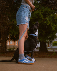 The Sofft Remmi is a fresh take on the classic retro runner, blending a vintage athletic silhouette with sophisticated, modern materials. Crafted from premium Italian suede with tonal nylon or fabric accents, this low-top sneaker features sporty contrast side stripes that give it an instant style refresh. It’s designed specifically for a lightweight feel, making it a go-to choice for transitioning your wardrobe into spring and summer.&nbsp;